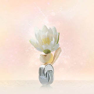 Bvlgari Omnia Crystalline Eau De Toilette 40ml