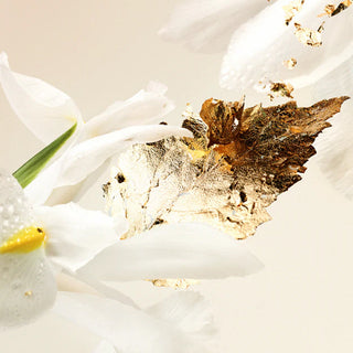 Bvlgari Splendida Patchouli Tentation Eau De Parfum 100ml